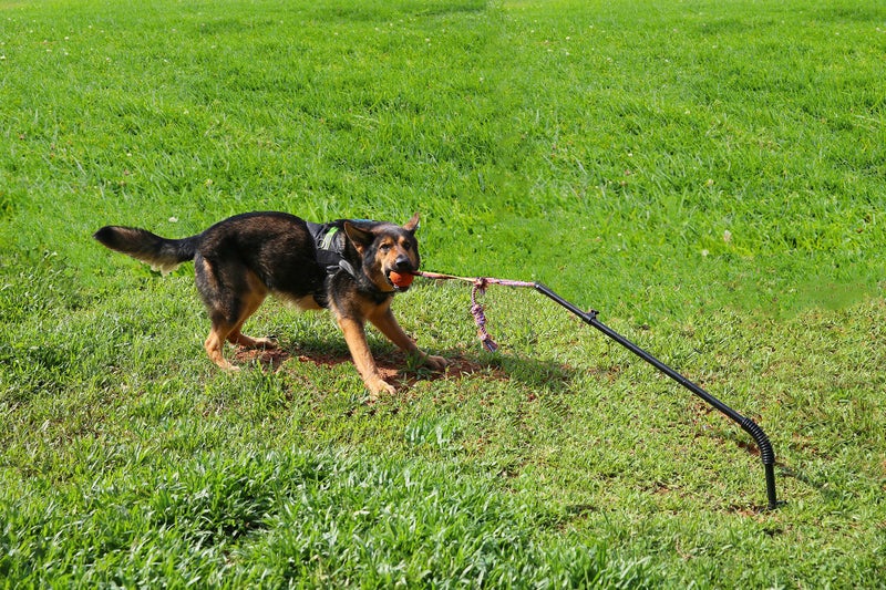 Highland Farms Select Dog Retractable Interactive Training Tug Toy - Pet Obedience Training Tug - Stable Exercise Metal Pole & Spring Rod with Replaceable Chew Rope for Small/Medium Dogs - Image 3